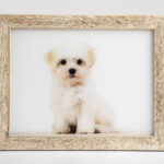 frames_acrylic_PRO_18B0342